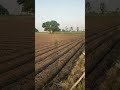 patriotic #peaceful #nature #suvichar #field #mitti #khetibadi #villagelife #sacrifice