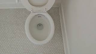 1912 John Douglas Company Royal toilet on a Low Tank (Not Working) 2
