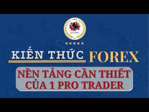 Kiến Thức Forex 1: Nền Tảng Cần Thiết Của 1 Pro Trader