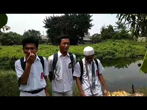 [Vlog Biologi] Ekosistem Rawa (X IPA 2) - YouTube