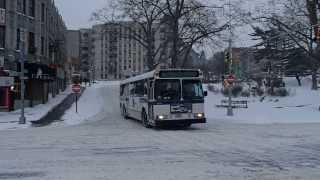 Information MTA New York City Bus Orion V 6103 on the Bx40 Guide
