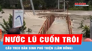 Lâm Đồng: Khoảnh khắc nước lũ cuốn trôi cầu treo dân sinh