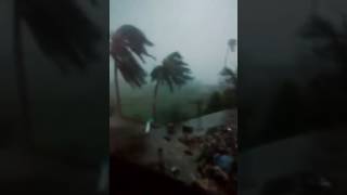 Eyewitness footage of Hurricane Matthew making its way across Haiti