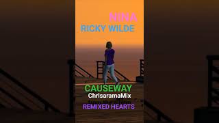 A snippet from my remix for #CAUSEWAY by #nina and #ricky #wilde.Some #gta5 #vibes included.