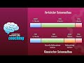 Triathlontraining: Zweiter Saisonhöhepunkt und kleine Helmkunde