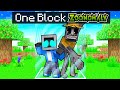 Locked on ONE BLOCK with ZOONOMALY in Minecraft!