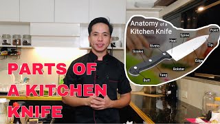 PARTS OF A KITCHEN KNIFE | ANATOMY OF A KITCHEN KNIFE | CULINARY 101