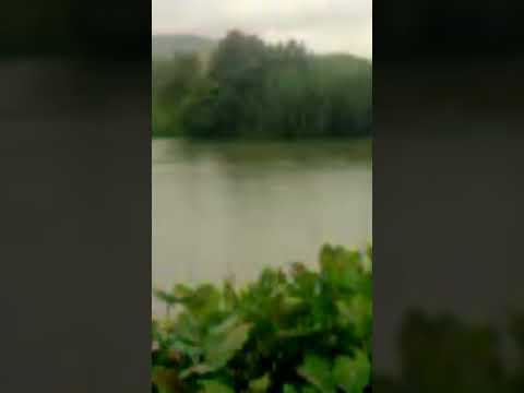 ٢٩ مارس ٢٠٢٢