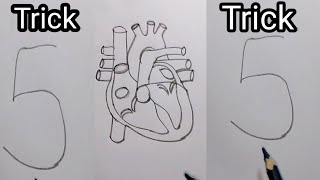 मनव हदय क चतर टरक स आसन स बनन सख