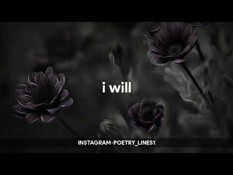 quran quotes whatsapp status english | Islaam status video 2020