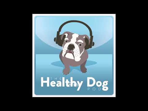 Episode 16: Nikki Stevens Sydney Dog Training