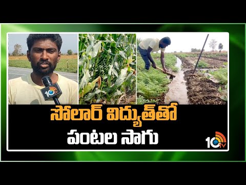 Cultivation of Crops with Solar Power | సోలార్ విద్యుత్‎తో పంటల సాగు | Matti Manishi | 10TV News - 10TVNEWSTELUGU