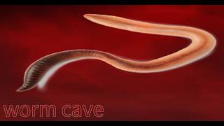 Worm Cave - Roblox