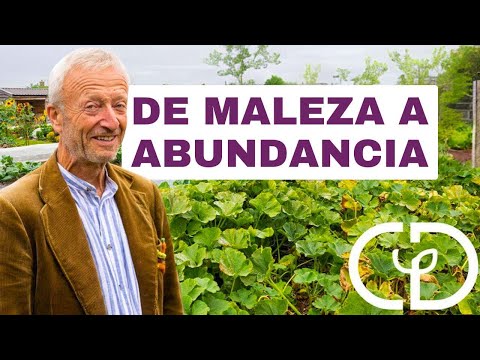 De Malezas a Maravilla: Transformación de Jardín Sin Excavar (Resultados 2021-2024)