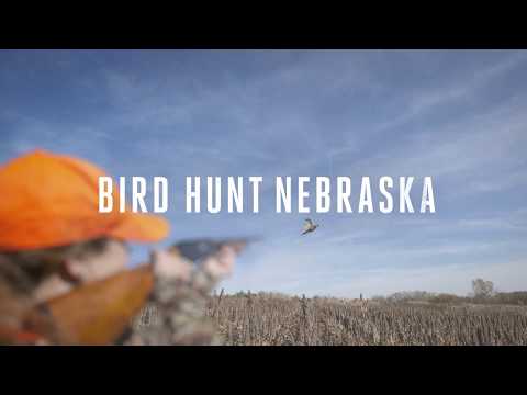 Bird Hunt Nebraska