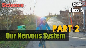 CBSE | Class 5 | Our Nervous System | Part 2