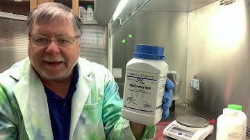 Lab 4 (Part 1) Preparing Microbiological Media