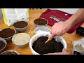 How to Make Inexpensive Sterile Starting & Potting Mix: Peat, Vermiculite & Perlite-No Fungus Gnats