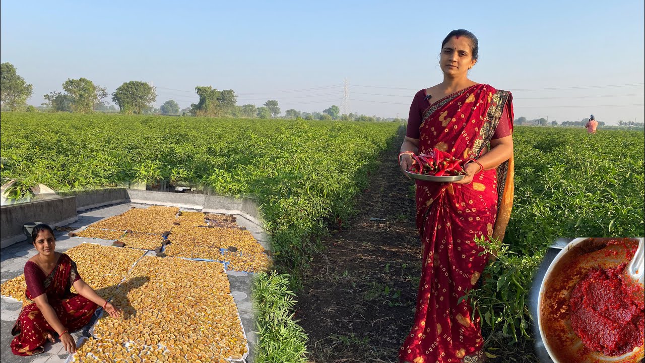 કાંચળી બનાવતા મહેનત બહુ પડે અને તીખા મરચા ની મીઠી ચટણી બનાવી