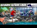 ¡Atrapa peces tropicales para tu acuario al aire libre!