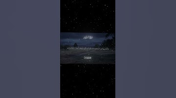 سورة النور|1-10|القارئ:#محمد_اللحيدان #قران #quran #راحة_نفسية #قران_كريم  #تلاوة_هادئة #تلاوة_خاشعة