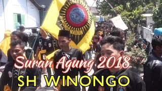 Long March Ribuan Pendekar SH WINONGO Hadiri Suran Agung 2018