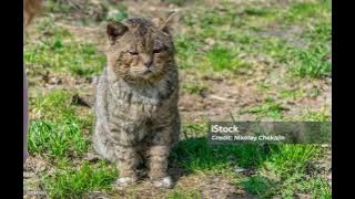 515d2e0f719a4070bf5a07c4b715ddbe