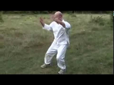 Цигун журавль. Стойка дерево цигун. Игра журавля в цигун. Комплекс тайцзи журавля. Цигун журавль.