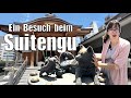 Ein Besuch beim Suitengu ⛩️ Zeremonie und mehr [ENG Sub]