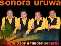 tributo uruwa el mudo