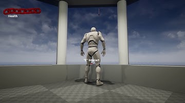 Interactive Traps Documentation Video