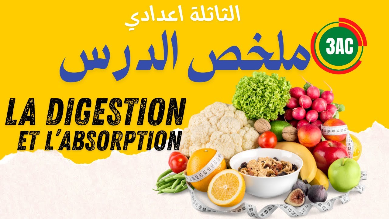 ملخص الهضم والامتصاص
