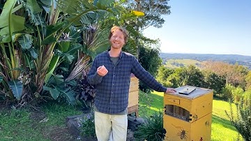 Beginner beekeepers Q&A with Cedar Anderson