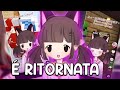 La YouTuber Peggiore Sta ESAGERANDO…
