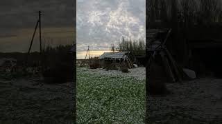 FARM LATVIA 16 11 2025
