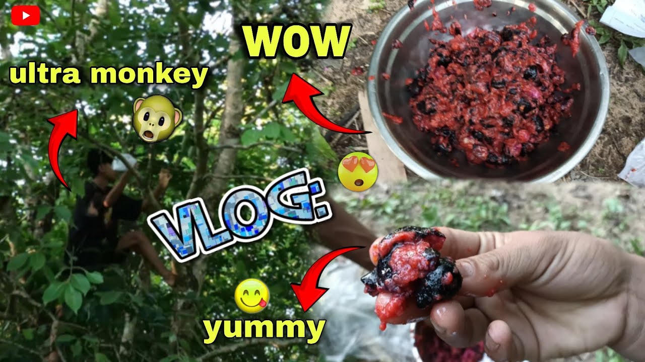 First time Jamuk chalaimani tini 