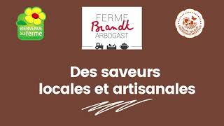 Magasin De Morsbronn