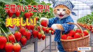 いちごねこちゃんと苺のチャーム 感動】ここにゃん、配達中にタイヤがパンク…働いて作った“ありがとう