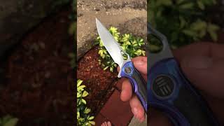 We Tyche And Some Upcoming Blades