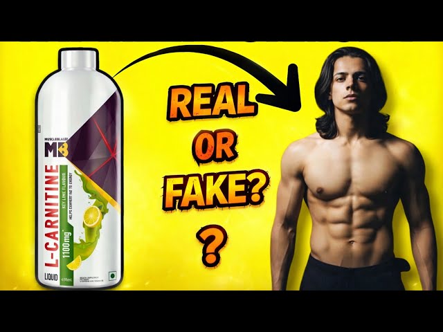 I Tried L-Carnitine for 30 Days Real Fat Burn or Fake Hype ? - YouTube I Tried L-Carnitine for 30 Days Real Fat Burn or Fake Hype ? - YouTube