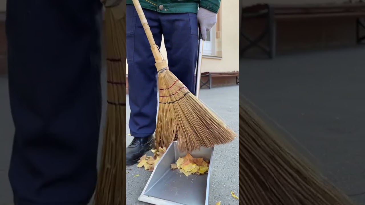 T2x2 следит за дворником