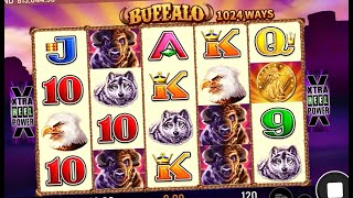 Playing Buffalo Slot by Aristocrat