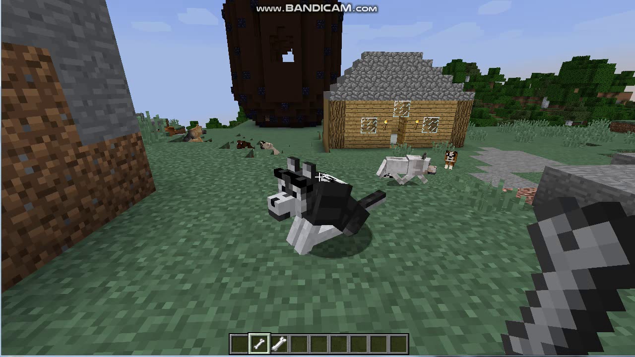 Обзор модов #4 Doggy Talents