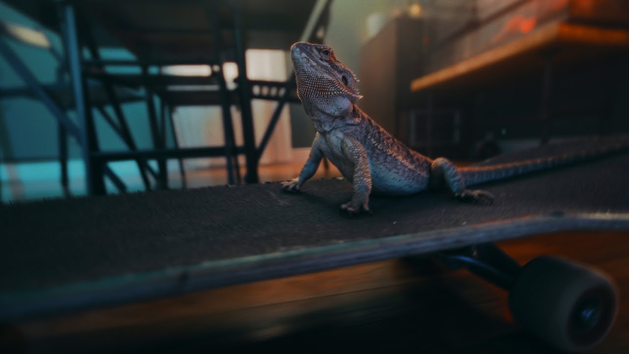 Send It - Musicbed Challenge 2022