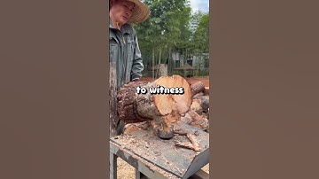 My father demanded a DNA test for my grandfather