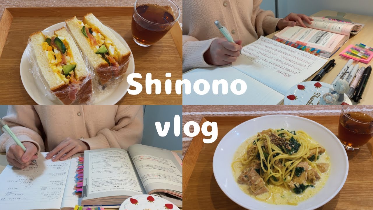 Vlog  午後から集中して勉強に取り組んだ日