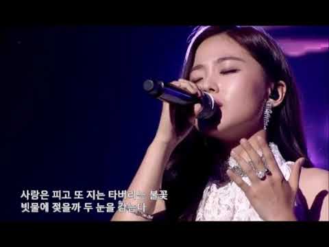 LIVE 박혜원 야생화