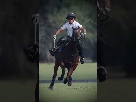 What is POLi and How Does It Work with DuffSpin?