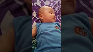 Download Lagu bangun tidur ada suara burung #suaraburung #senyum #baby #cute #bayigemes #fypシ゚viral #shorts MP3