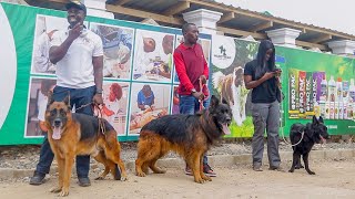 Incredible DOG WALK and TOUR to mark opening of top-tier Veterinary Hospital